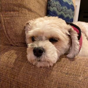 Meet your Posher, Luke